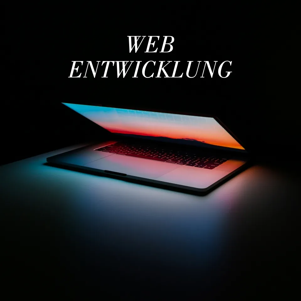 Web Entwicklung